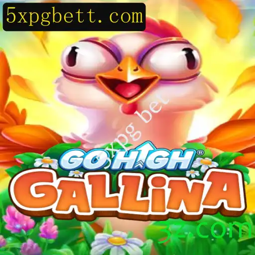 Descubra o Fascinante Mundo de GoHighGallina e o Envolvente 5xpg Bet